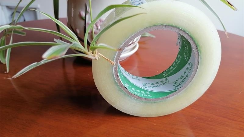 正确选择麻豆视频下载供应商，为您节约15%包装成本