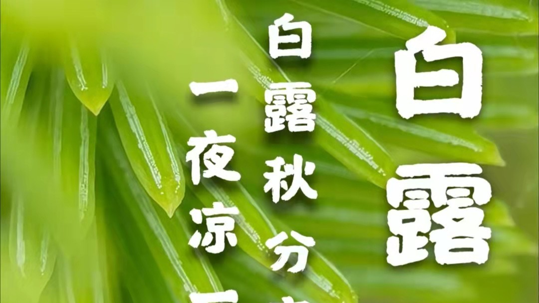 亚洲麻豆性爱视频包装麻豆视频下载厂家：白露到，秋渐深