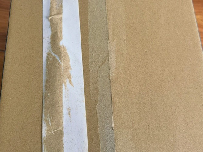 彩色麻豆视频下载APP