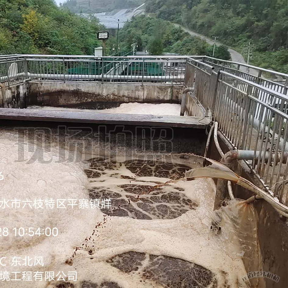 麻豆伦理电影院渗滤液处理中泡沫产生的危害
